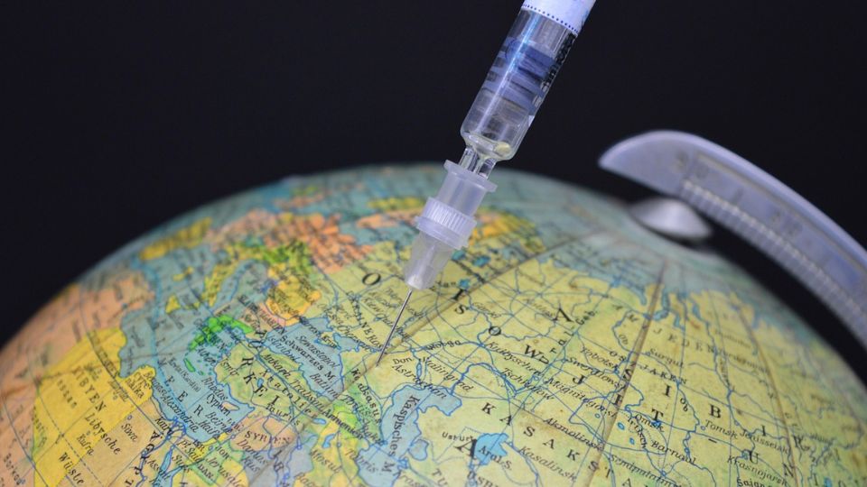 Do You Need a Rabies Jab Before Travelling? Here’s What to Know