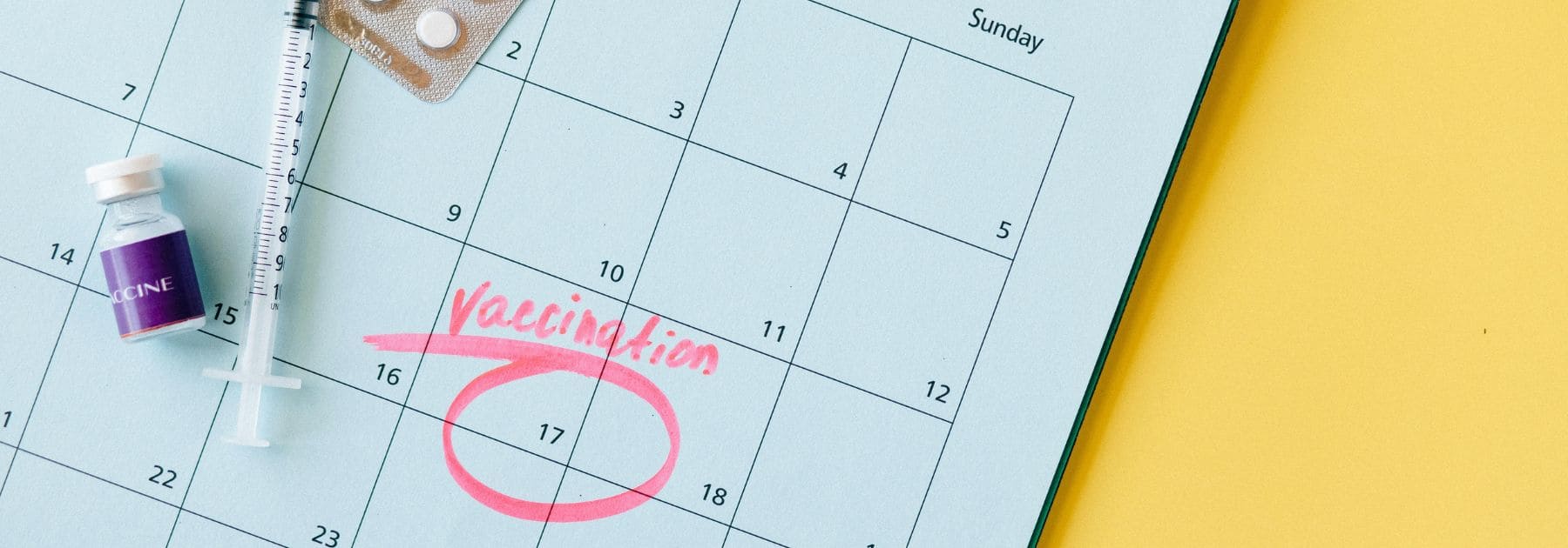 rabies-jab-vaccination-schedule